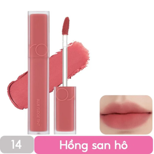 Son Romand Blur Fudge Tint 14 Unrose