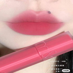 Son Romand Blur Fudge Tint 14 Unrose